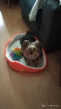 Pequeño perro de talla mediana perrera lana de cordero cama para gato, perro extraíble lavable suministros para mascotas suave mantener caliente casa felpa relleno Mat