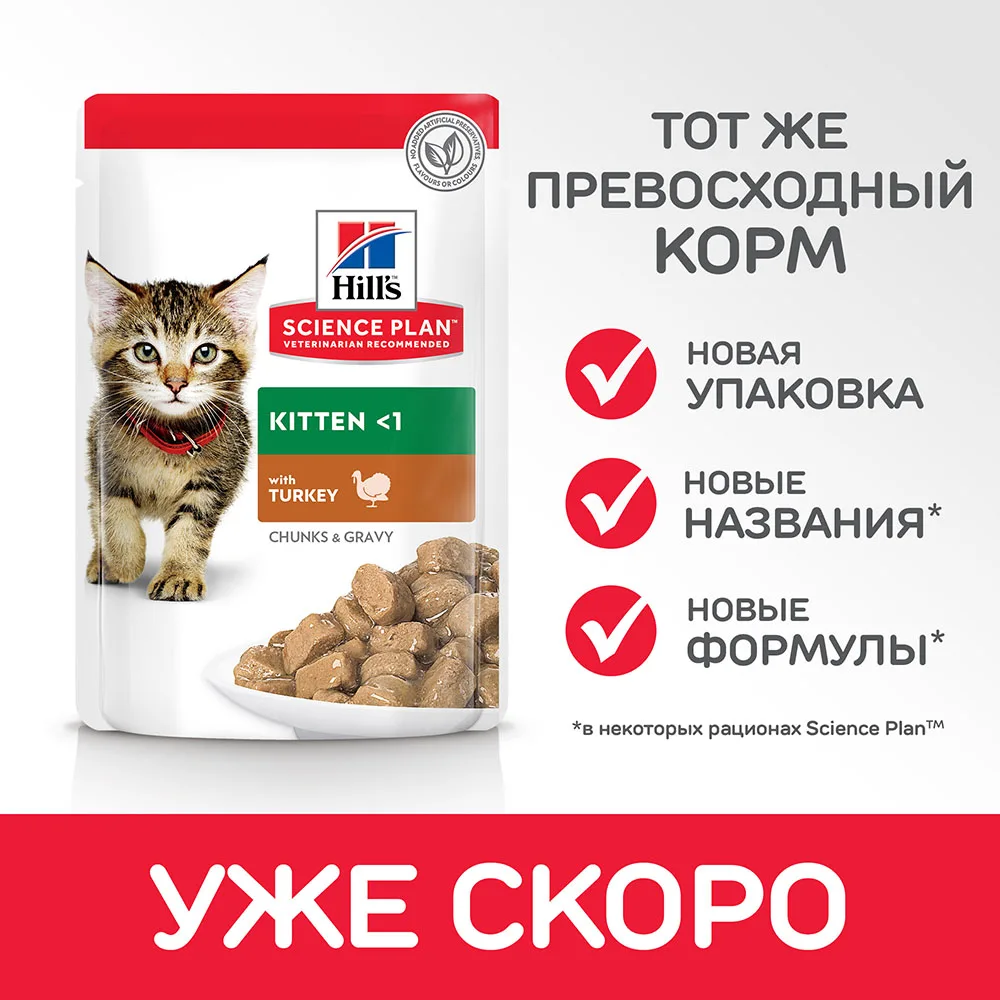 Hill's Science Plan Healthy Development влажный корм для котят с индейкой 12шт. х 85 г