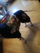 HOOPET Large Coat Down-Jacket Winter New Warm Autumn for Dogs Dog-Prints Overalls Leisure-Style