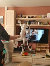 Light-Fixtures Pendant-Lamp Animal-Lighting Loft Hemp-Rope Cafe Gold E27 Black Resin