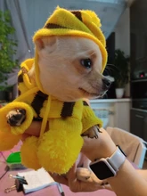 Pet-Puppy-Accessories Socks Hats Cat-Products Dogs-Knitted Small Chihuahua Little Winter