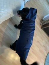 Impermeable para perro mascota impermeable perros grandes ropa de abrigo al aire libre chaqueta de lluvia reflectante Golden Retriever Labrador Husky gran poncho