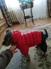 Ropa de invierno para mascotas, chaqueta cálida gruesa para perros pequeños y grandes, abrigo impermeable para cachorros, Chihuahua, Pug, Bulldog francés