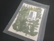 Pegatinas de flores naturales de resina UV para decoración de joyas, adhesivos de belleza seca para Resina epoxi DIY, 1 paquete