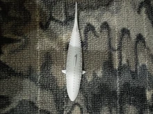 Interactive-Toy Cat-Wagging-Supplies Pet-Catnip Fish-Shape Training Silicone Simulation