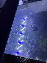 Luces LED para cultivo de plantas, luces para peceras, luces pequeñas con Clip, accesorios de irradiación para acuario, lámpara de decoración