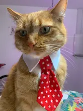 [MPK Store] Cat Toy Cat Costume Clip Tie for Cats and Dogs, Cat Collar