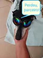Gafas de Gato para perro, productos para mascotas, gafas de sol UV para perro de juguete, accesorios para mascotas, gafas de esquí plegables Multicolor, 1 Uds.