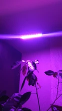 Grow-Light Phyto-Lamp Greenhouse-Vegetable-Seedling-Plant-Lighting USB Full-Spectrum