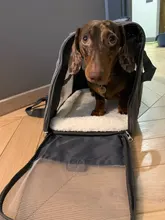 Dog-Carrier-Bags Airline Pet-Cat-Dog-Backpack Portable Cats Small Dog for Approved