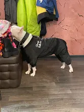 Dog-Coat Winter HOOPET for Dogs Clothing Warm Christmas Big