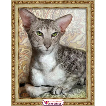 

Аж-1728 picture of rhinestones 'Oriental cot' 30*40 cm