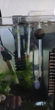 1 Uds medidor de vidrio acuario vidrio temperatura del agua termómetro con bonita ventosa 7cm