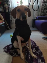 Jackets Dog-Coats Outdoor Winter Pet-Dog Dogs Large Medium for Warm Clothing Kurtka Ubranka