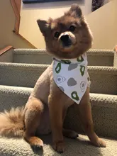 Pañuelo para perro, accesorios para perro, dibujo de fruta, piña, algodón, a cuadros, lavable, babero para perro y gato