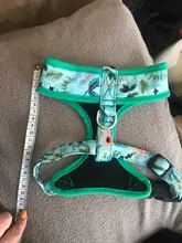 Cute Printed Chihuahua French Bulldog Harness Adjustable Puppy Cat Harness Pet Small