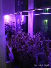 LED Grow Light Full Spectrum 5V USB Grow Light Strip 2835 LED Phyto Lamps For Plants