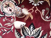 Cat-Toys Pet-Products Mice Catnip Animal Interactive
