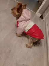 Outfit Jacket Hoodie Dog Warm Waterproof Winter Coat Splice Pet-Puppy 6-Colours 8-Sizes