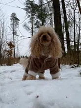 Pet-Dog-Clothes Jacket Puppy Coat Small Dogs Christmas Chihuahua Fleece Winter Warm Autumn