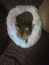 Cama de Gato supersuave, 14 colores, redonda, mullidas de gato, cesta para dormir, larga felpa, cálida, alfombrilla para mascotas, perrera ligera de tacto cómodo