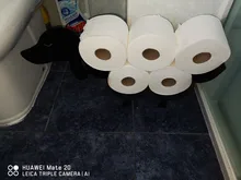 Portarrollos de papel higiénico para baño, accesorios de cocina, estante de almacenamiento de pañuelos, rollo de hierro fundido, soporte de baño