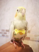 Pájaro loro pañal Cockatiel palomas mascota mediana grande aves traje de vuelo ropa mascotas pájaros heces bolsillo