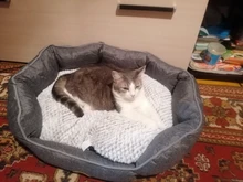 DEKO-cojín impermeable para cama de perro, sofá de sueño reparador, esterilla para cachorro, gato, almohada de algodón, suministros para mascotas