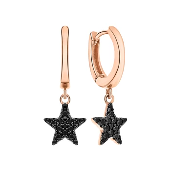 

Silver earrings with cubic zirconium sunlight sample 925