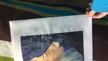 Van Gogh bolsa de compras pintura al óleo gráfico bolso de lona femenino lindo Harajuku Ulzzang Grunge Tote bolsa