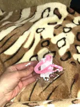 Collar de policarbonato para perros, hebillas ajustables con campana, correa para el cuello, suministros para mascotas, accesorios para perros pequeños, Chihuahua, Bulldogs, 1 unidad