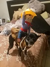 Novelty Halloween Dog Costumes Pet Clothes Cowboy Dressing up Jacket Coats for Dogs Funny