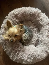 Cushion-Mat Beds Kennel Puppy-Supplies Sofa Cat-House Fluffy Warm DEKO Round Comfortable