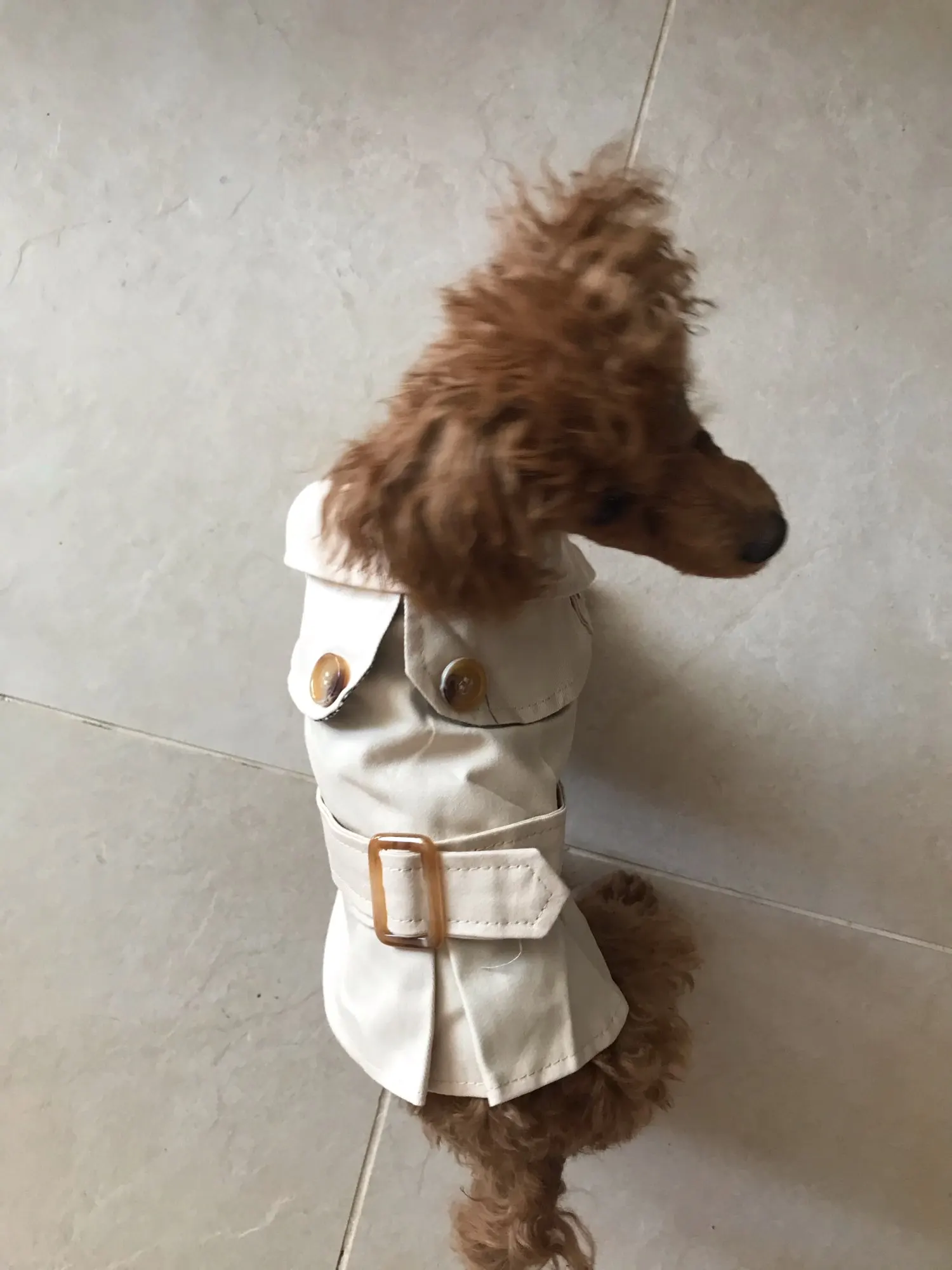 Dog Classic English Fashion Coat photo review