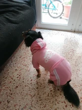 Costume Puppy-Outfit Dogs French Bulldog Chihuahua Pug-Pets Small Medium for Pet-Jumpsuit