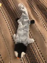 Peluche suave de cebra con sonido de tigre para mascotas, juguete para mascotas