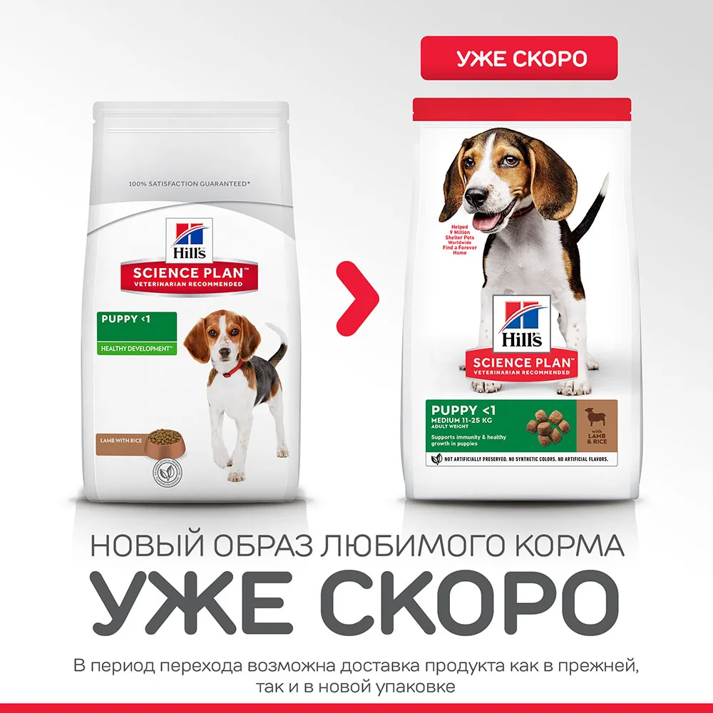 Hill's Science Plan Healthy Development сухой корм для щенков средних пород ягненок с рисом 12 кг