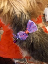 Collar de nailon con lazo para perro y gato, para mascota, con lazo, Color caramelo, 1 unidad