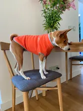 Coat-Jackets Fleece Vest Pug-Costumes Dogs French-Bulldog Chihuahua Winter Small Medium