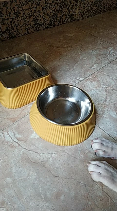 Dog Food Bowl Stainless Steel | Anti-overturning Large Bowl for Dog photo review
