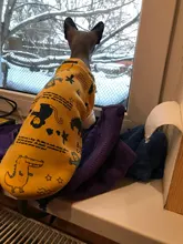 Rabbit Print Pet Cat Costume for Cats Soft Kedi Katten Sweatshirt Hoodie Spring Summer