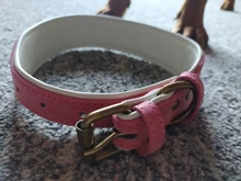 Dog-Collar Bulldog German Shepherd Wide-Leather Padded Pet-Dog Perro Soft for Medium