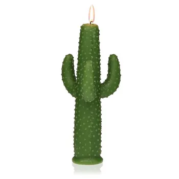 

Candle Paraffin Cactus