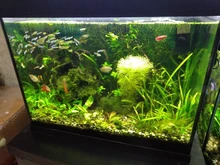 Led-Lighting-Lamp Dimmer Timer Fish-Tank-Light Aquarium Planted NICREW for 32-74cm 110V-240V