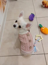 Sweater Puppy-Hoodie Dog-Jumper Winter Knited Small Cat with Cartoon-Design Warm Apparel