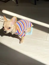 Ropa para perros y cachorros, chaleco, camiseta, camisa, pijama, ropa para perros de invierno