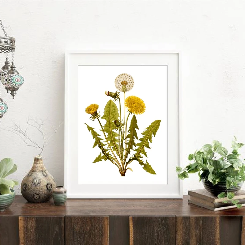 Botanical Illustration Wall Art Print