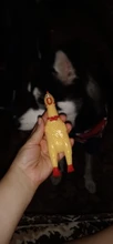 2020 Hot Sell S 5*17 cm Screaming Chicken Pets Dog Toys Squeeze Squeaky Sound Sound