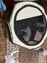 Tienda portátil porta mascotas plegable, Corralito, transpirable, de fácil operación, cerca octagonal, cama perrera extraíble para cachorro para gatos