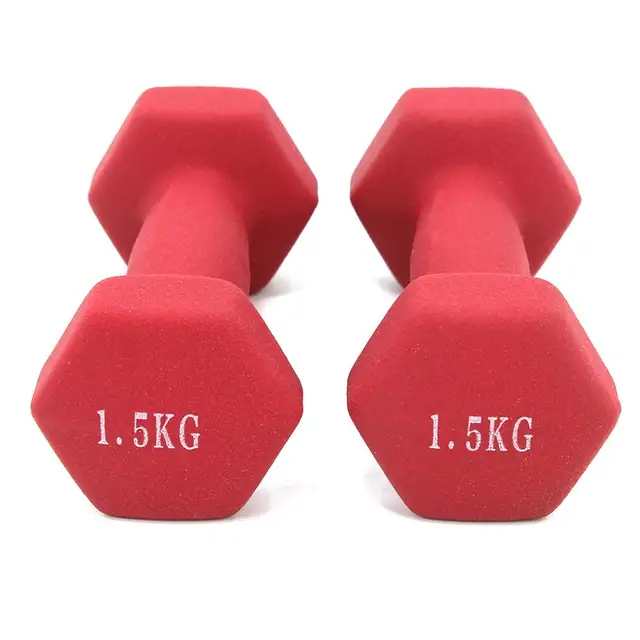 Dumbbells plastic for women, dumbbell Fitness lasting, with style, smooth surface, from 3 kilos, portable optional, 2 pieces 1.5KG